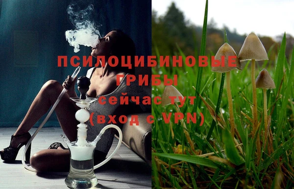 каннабис Алексеевка