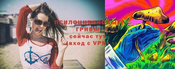 спиды Алексин