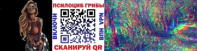 сколько стоит  Саров  Галлюциногенные грибы Cubensis 